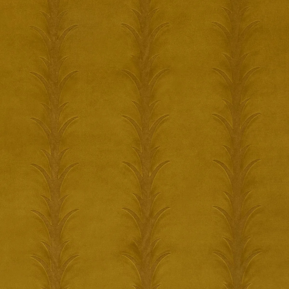 Schumacher 86451 Acanthus Stripe Velvet Olive fabric swatch
