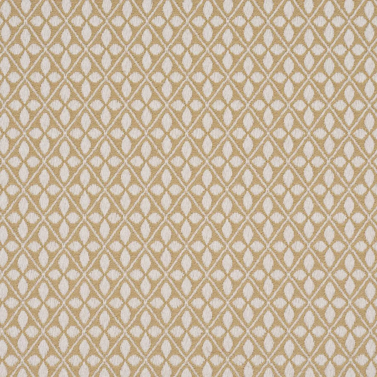 Schumacher 87081 Adams Damask Neutral fabric swatch