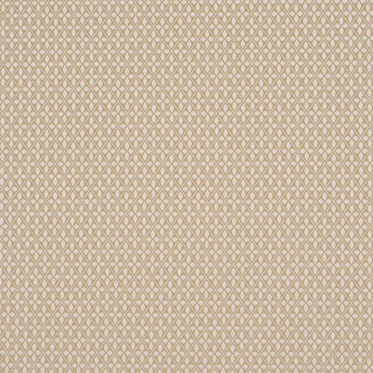 Schumacher 87081 Adams Damask Neutral fabric swatch