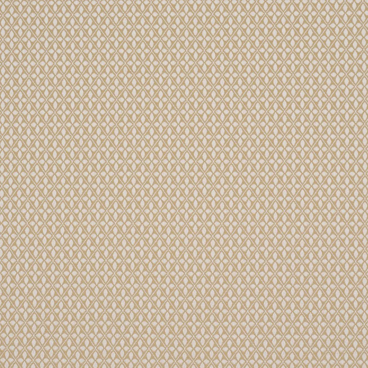 Schumacher 87081 Adams Damask Neutral fabric swatch
