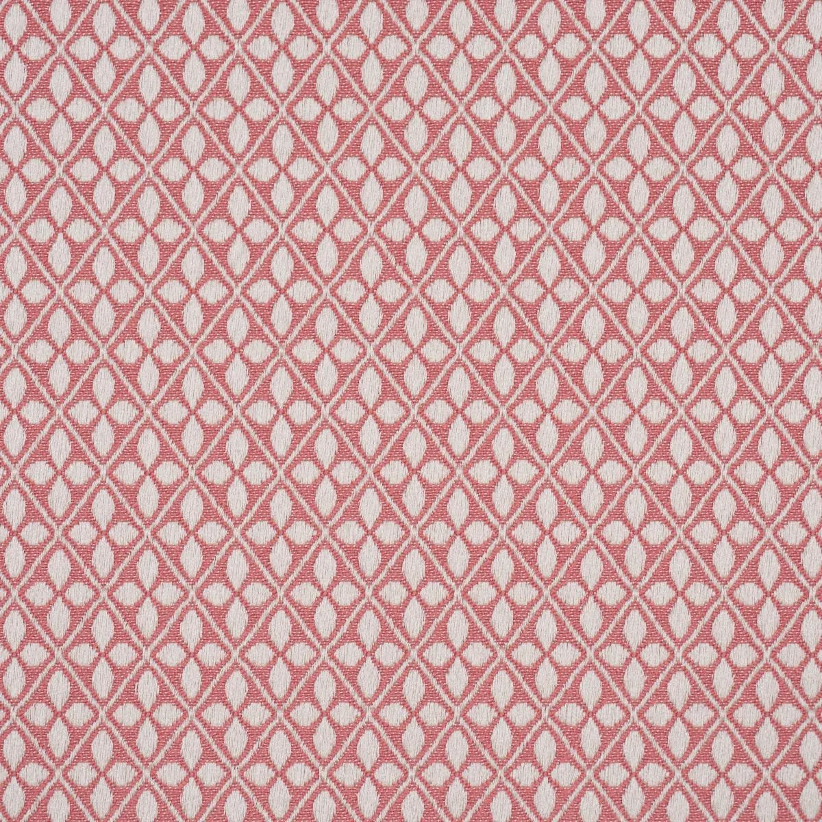 Schumacher 87085 Adams Damask Pink fabric swatch