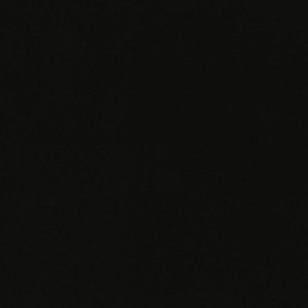Schumacher 70988 Alassio Indoor/Outdoor Black fabric swatch