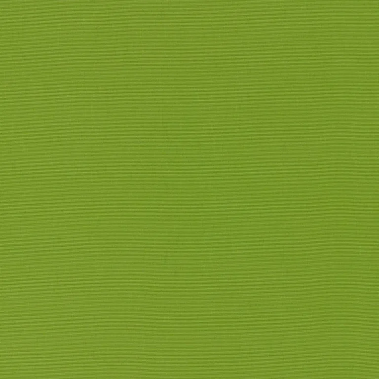 Schumacher 70992 Alassio Indoor/Outdoor Lime fabric swatch
