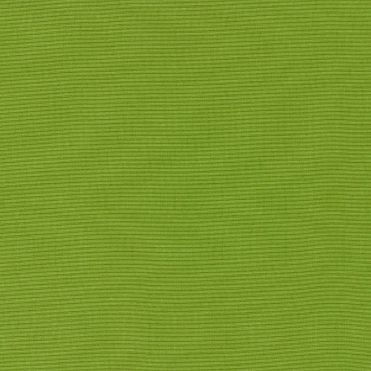 Schumacher 70992 Alassio Indoor/Outdoor Lime fabric swatch