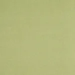 Schumacher 77810 Albert Performance Cotton Green fabric swatch