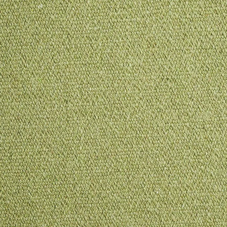 Schumacher 77810 Albert Performance Cotton Green fabric swatch
