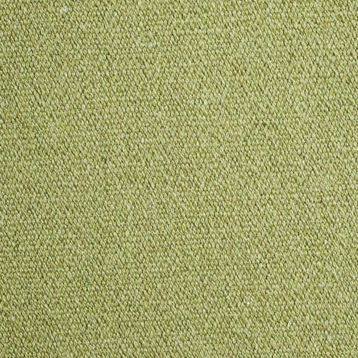Schumacher 77810 Albert Performance Cotton Green fabric swatch