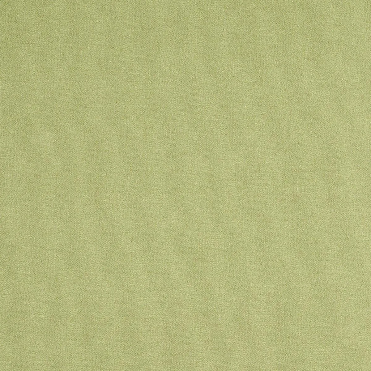 Schumacher 77810 Albert Performance Cotton Green fabric swatch