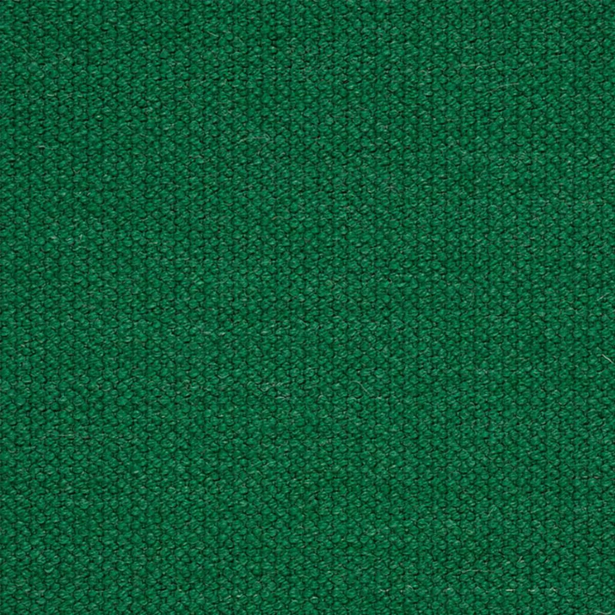 Schumacher 76452 Alpine Green fabric swatch