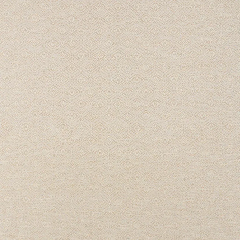 Schumacher 71131 Anderson Bamboo fabric swatch