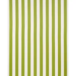Schumacher 71326 Andy Stripe Green fabric swatch