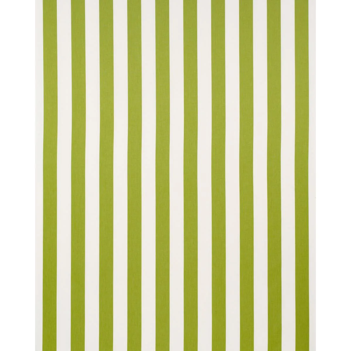 Schumacher 71326 Andy Stripe Green fabric swatch