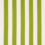 Schumacher 71326 Andy Stripe Green fabric swatch