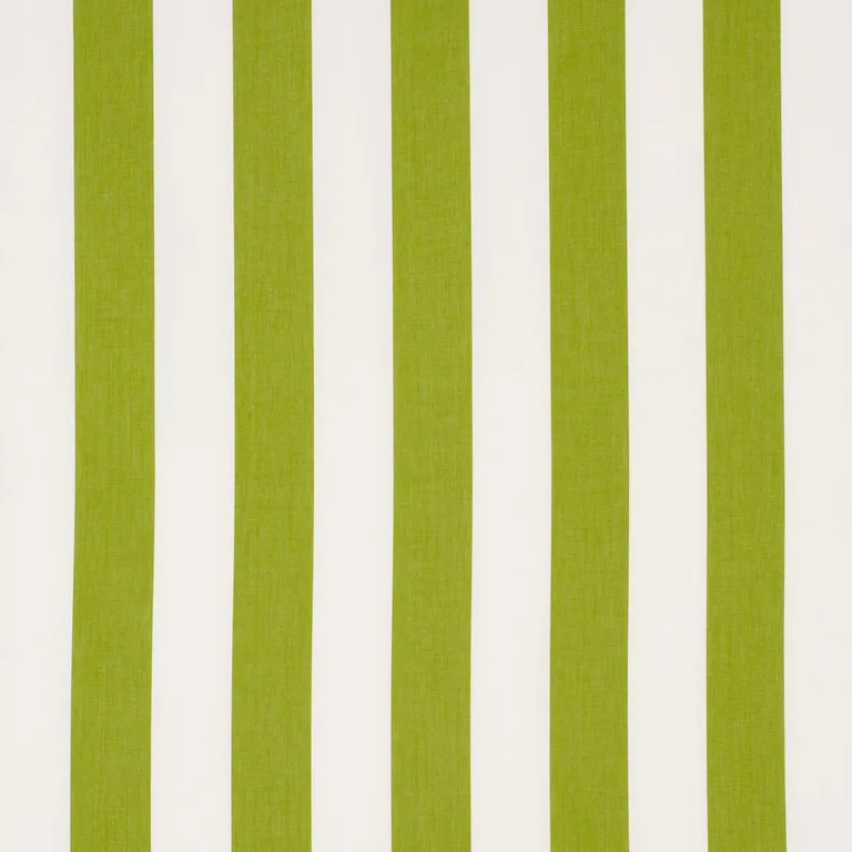 Schumacher 71326 Andy Stripe Green fabric swatch