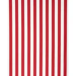 Schumacher 71329 Andy Stripe Red fabric swatch