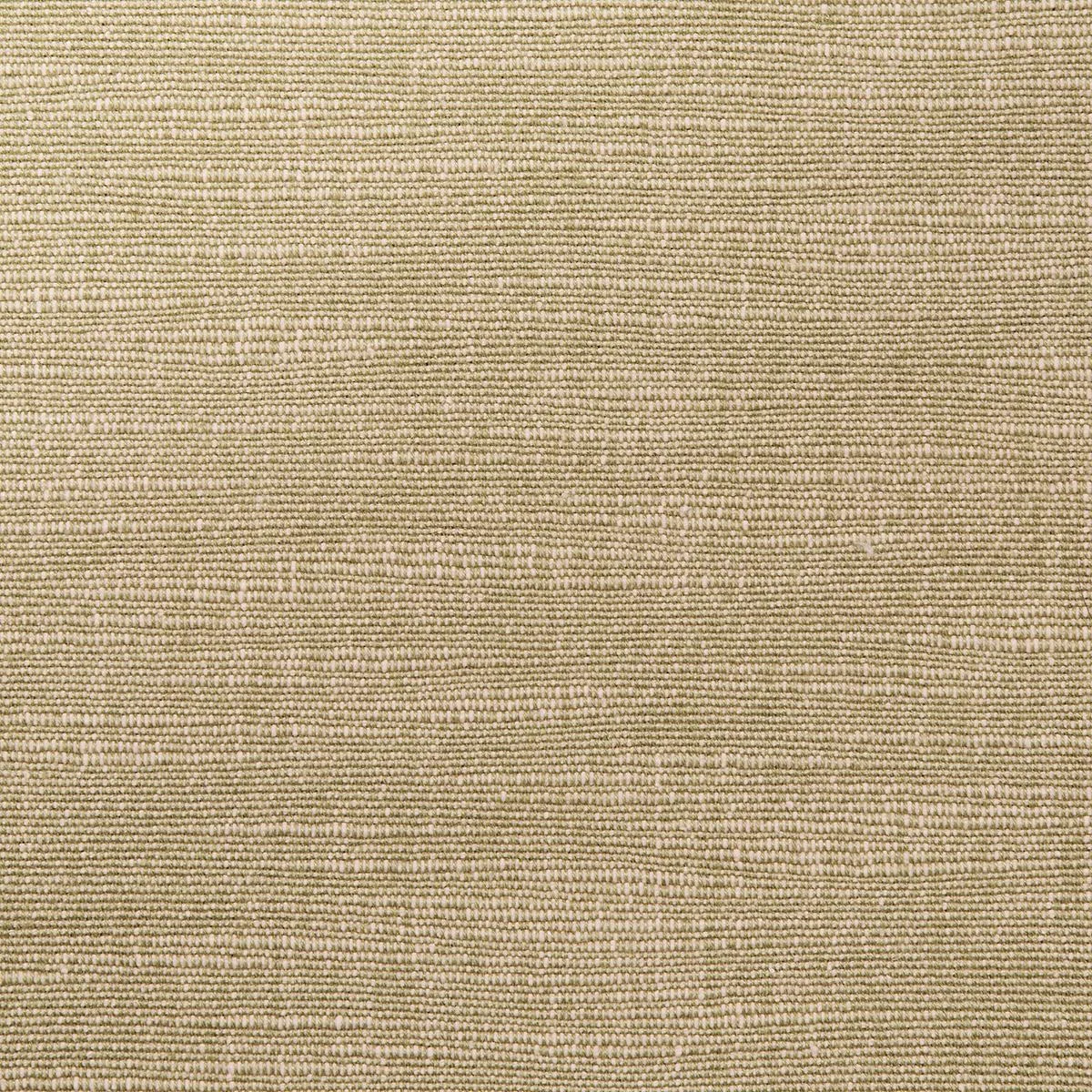 Schumacher 82564 Annabel Cotton Neutral fabric swatch