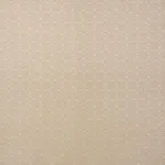 Schumacher 71650 Apollo Moonstone fabric swatch