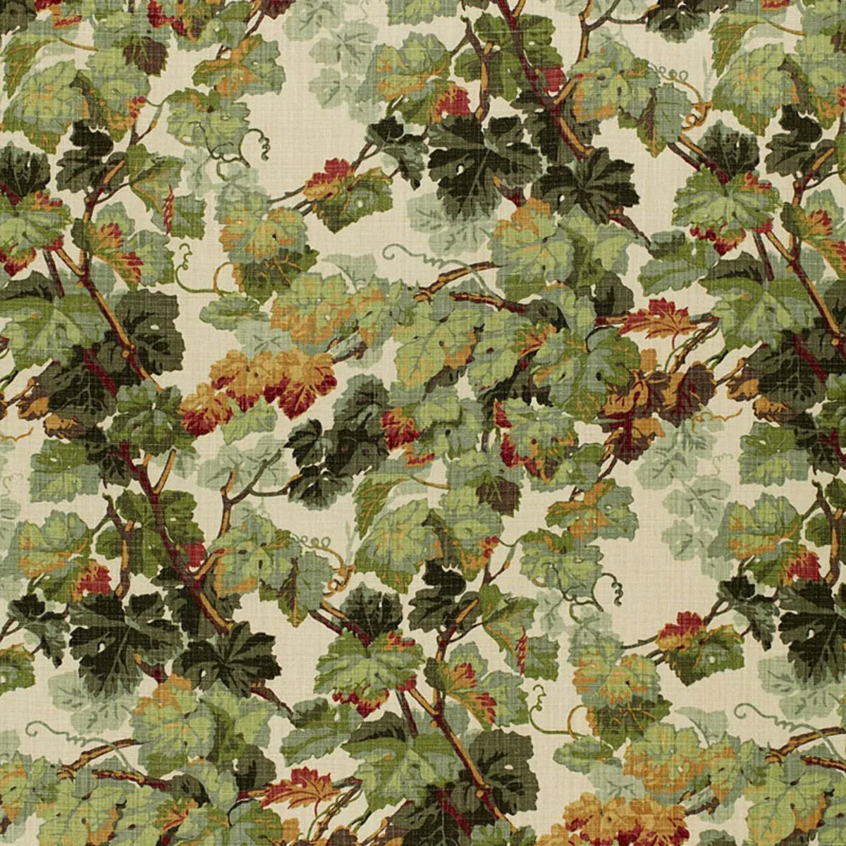 Schumacher 1212012 Arbor Vine Document fabric swatch