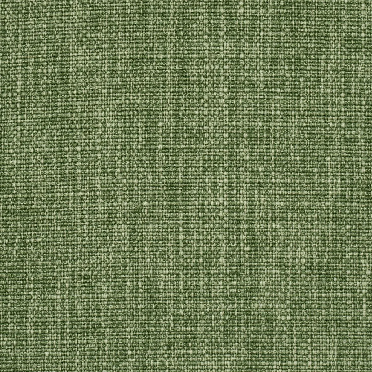 Schumacher 84192 Archie Indoor/Outdoor Green fabric swatch