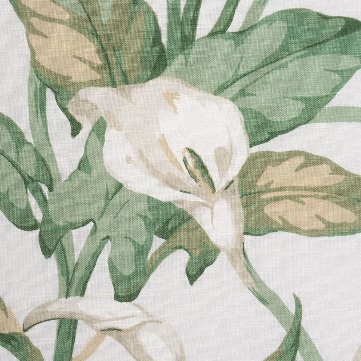Schumacher 183120 Arum Lilies Ivory fabric swatch