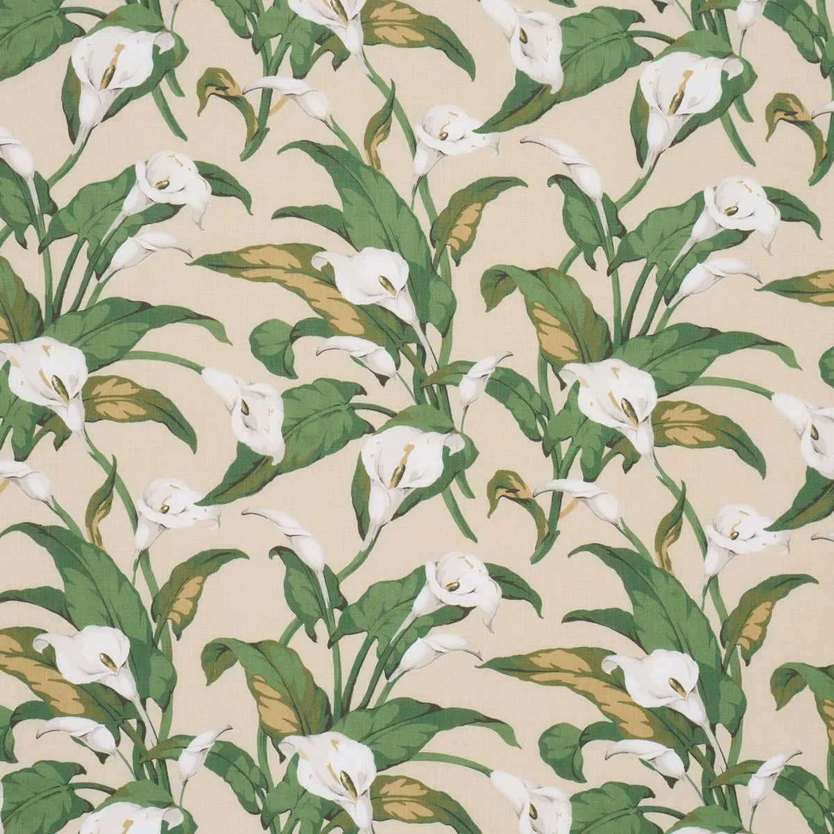 Schumacher 183122 Arum Lilies Parchment fabric swatch