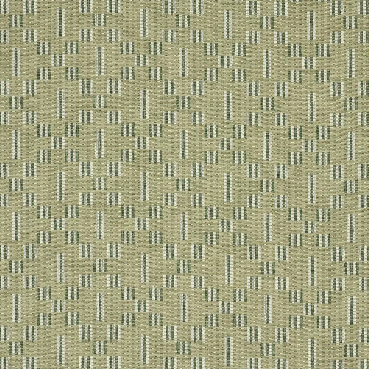 Schumacher 87140 Austin Green fabric swatch