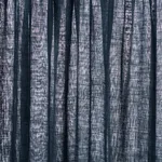 Schumacher 84928 Aya Sheer Navy fabric swatch