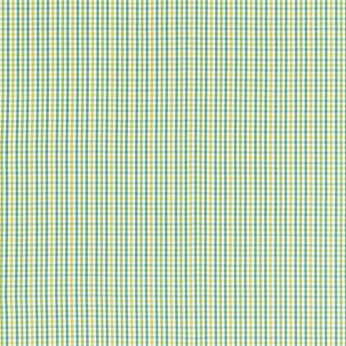 Schumacher 68050 Bahama Check Lagoon fabric swatch