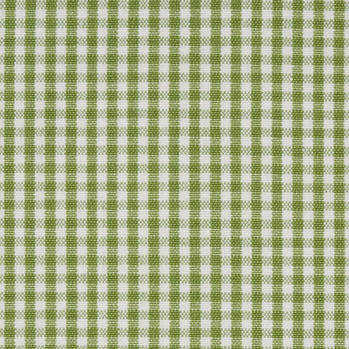 Schumacher 64638 Barnet Cotton Check Leaf fabric swatch