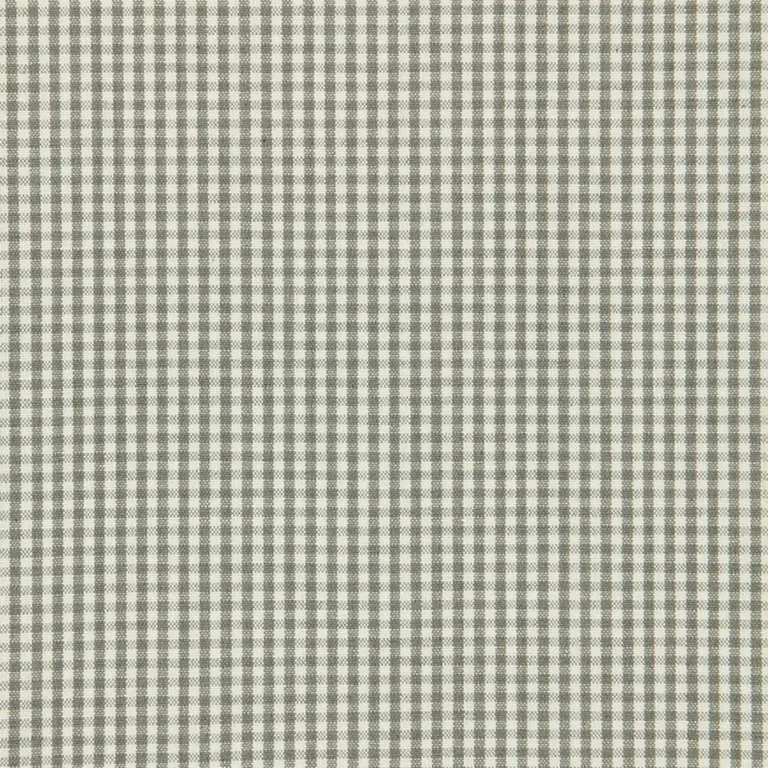 Schumacher 64625 Barnet Cotton Check Nickel fabric swatch