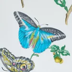 Schumacher 178721 Baudin Butterfly Chintz Turquoise fabric swatch