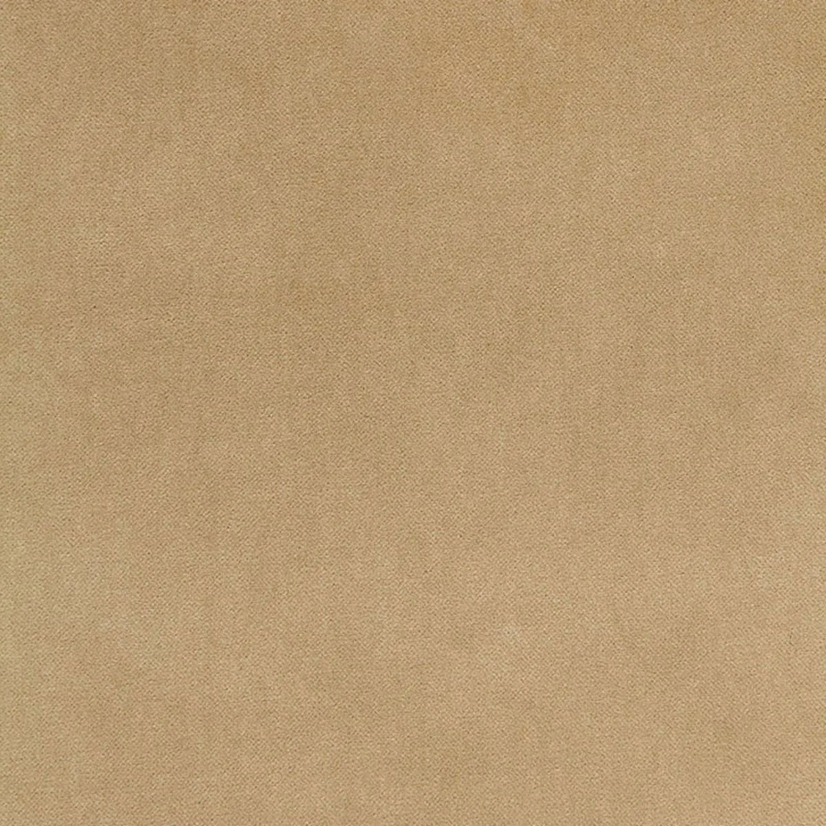 Schumacher 65311 Bayeux Velvet Putty fabric swatch