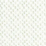 Schumacher 179354 Beatriz Handprint Sage fabric swatch