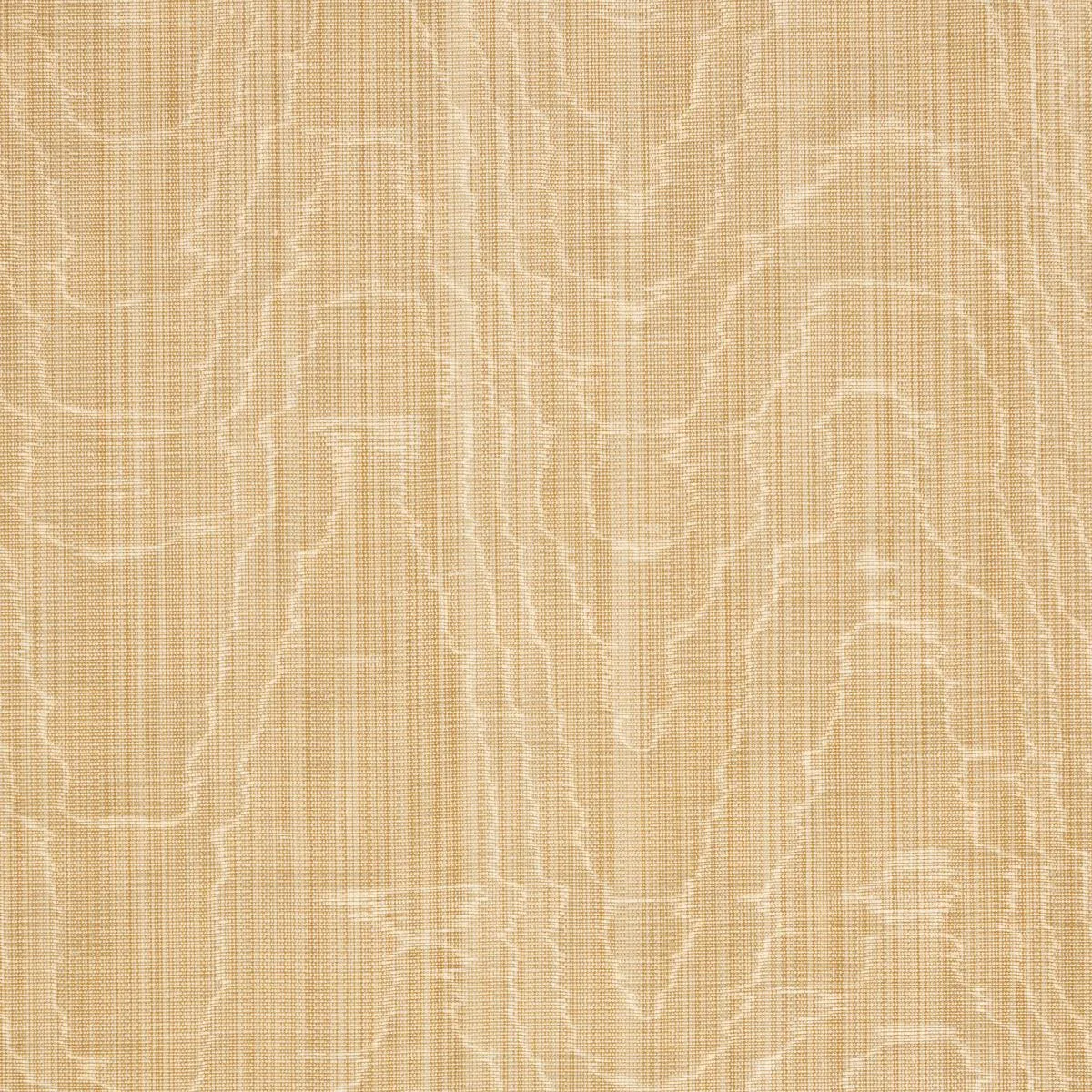 Schumacher 83252 Beau Cotton Linen Moiré Soft Gold fabric swatch