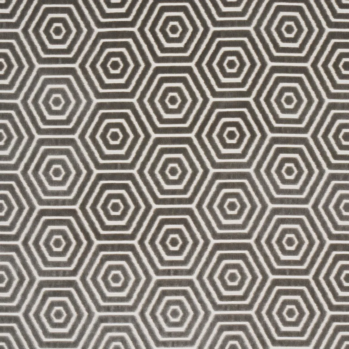 Schumacher 83212 Bees Knees Cut Velvet Grey fabric swatch
