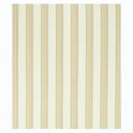 Schumacher 79151 Bendita Stripe Indoor/Outdoor Multi fabric swatch