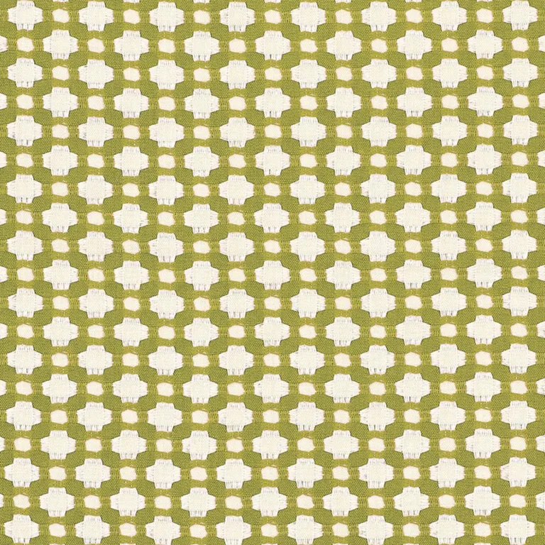 Schumacher 62614 Betwixt Grass/Ivory fabric swatch