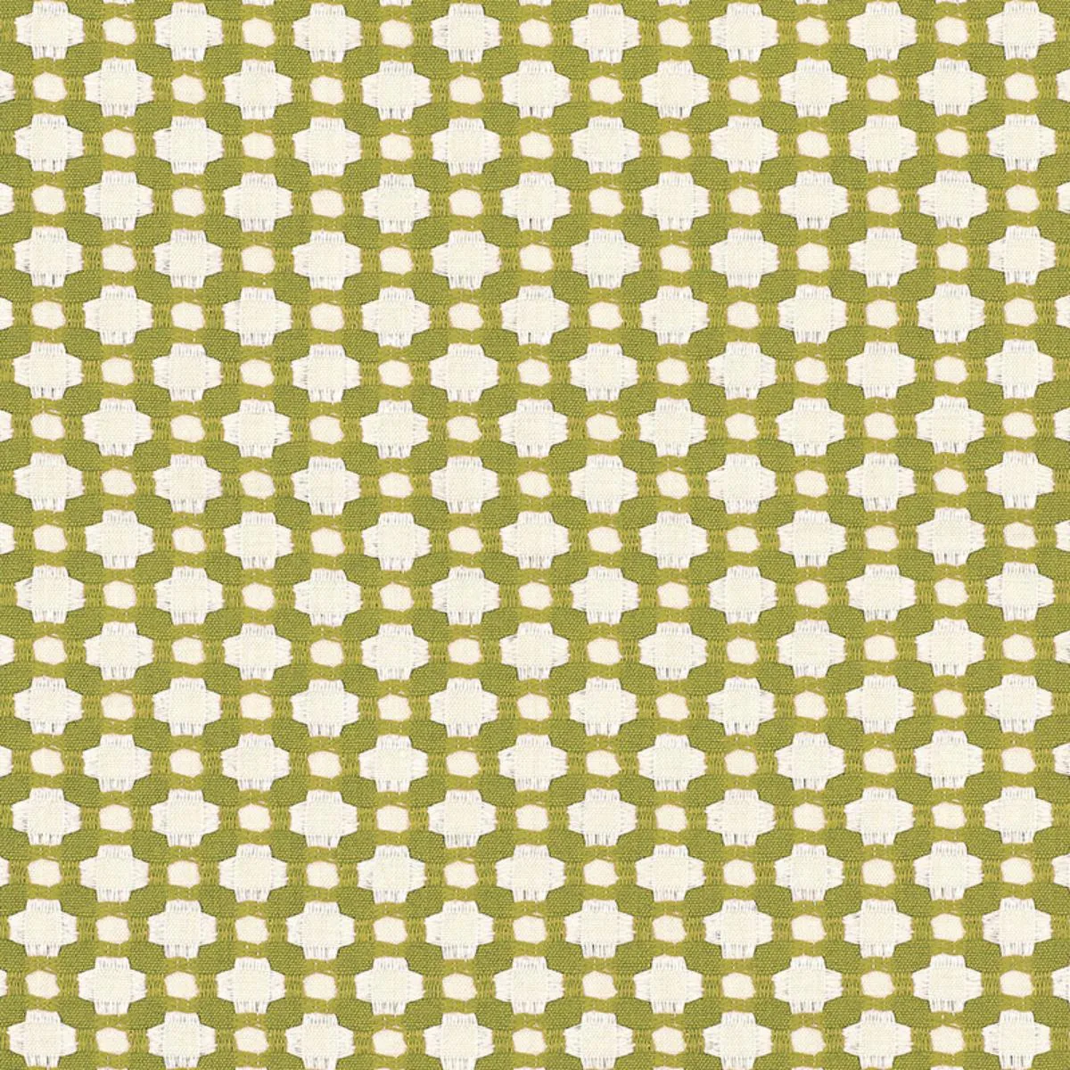 Schumacher 62614 Betwixt Grass/Ivory fabric swatch