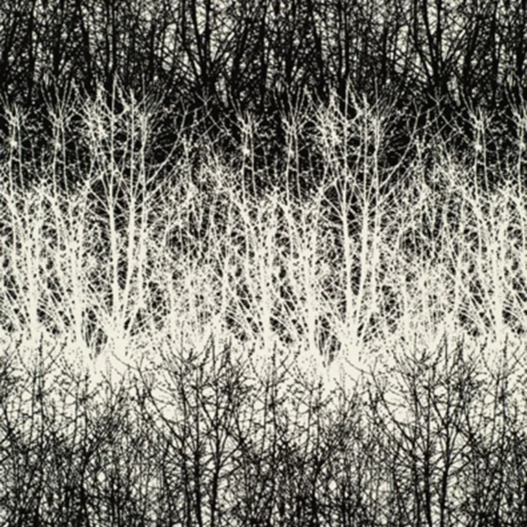 Schumacher 2644021 Birches Black fabric swatch