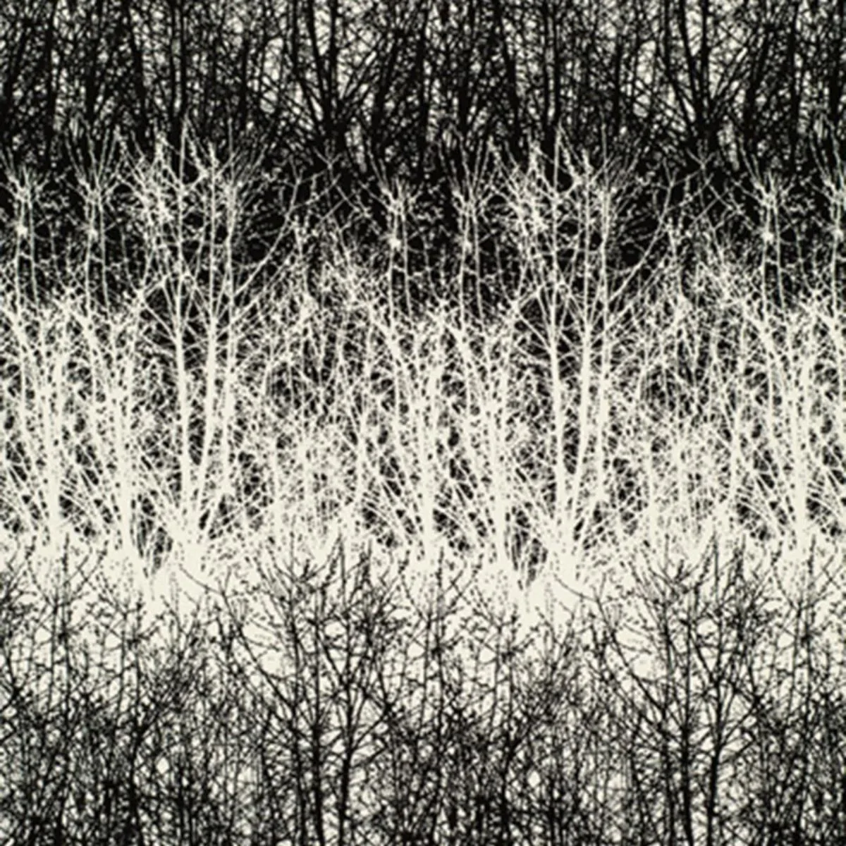 Schumacher 2644021 Birches Black fabric swatch