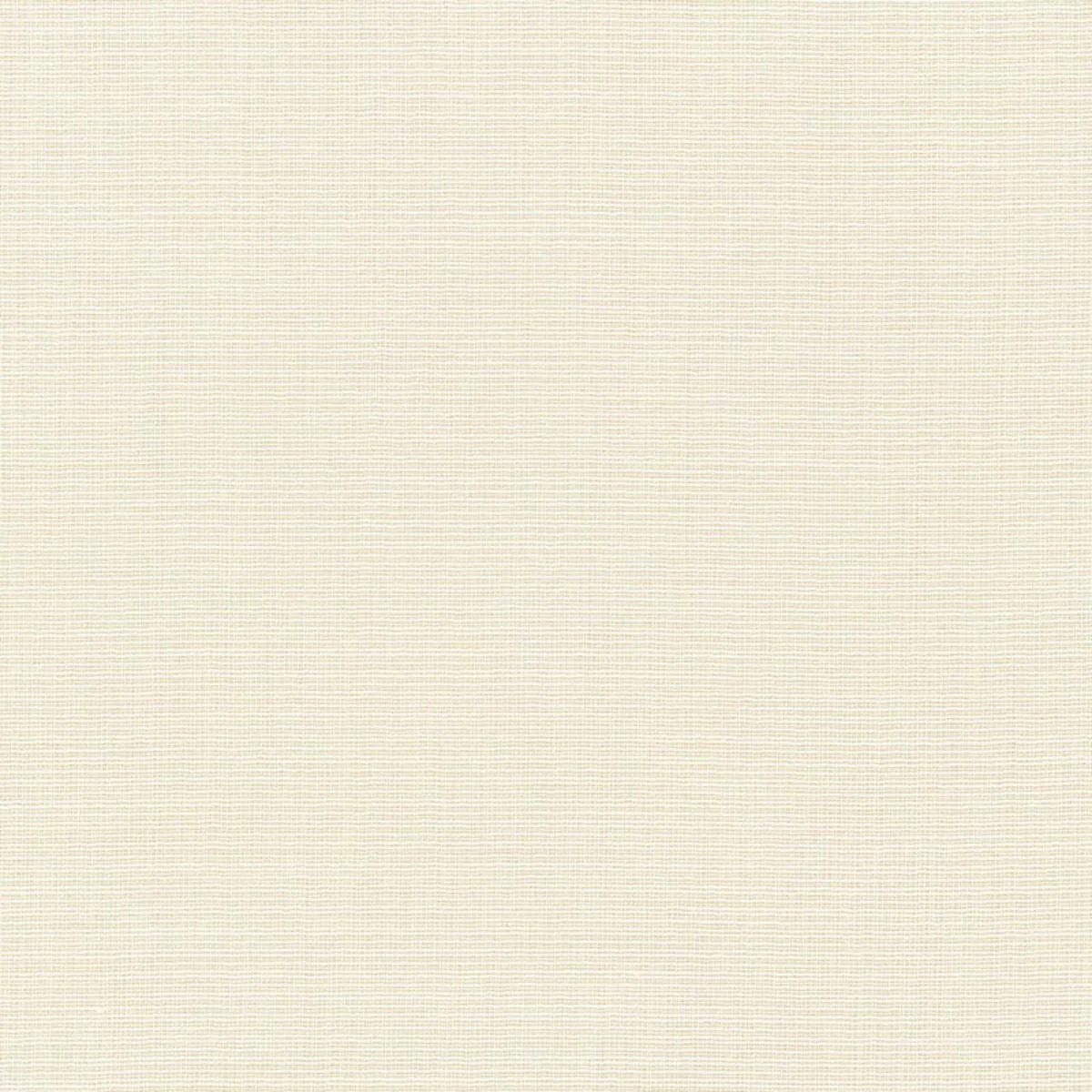 Schumacher 12490 Blair Sheer Ecru fabric swatch