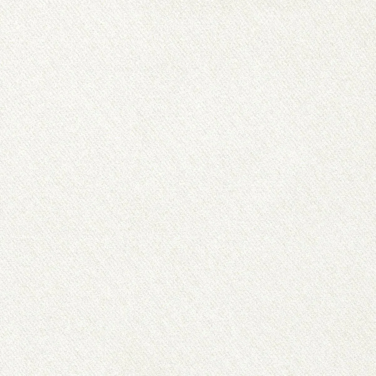 Schumacher 69586 Blake Polished Cotton Buttermilk fabric swatch