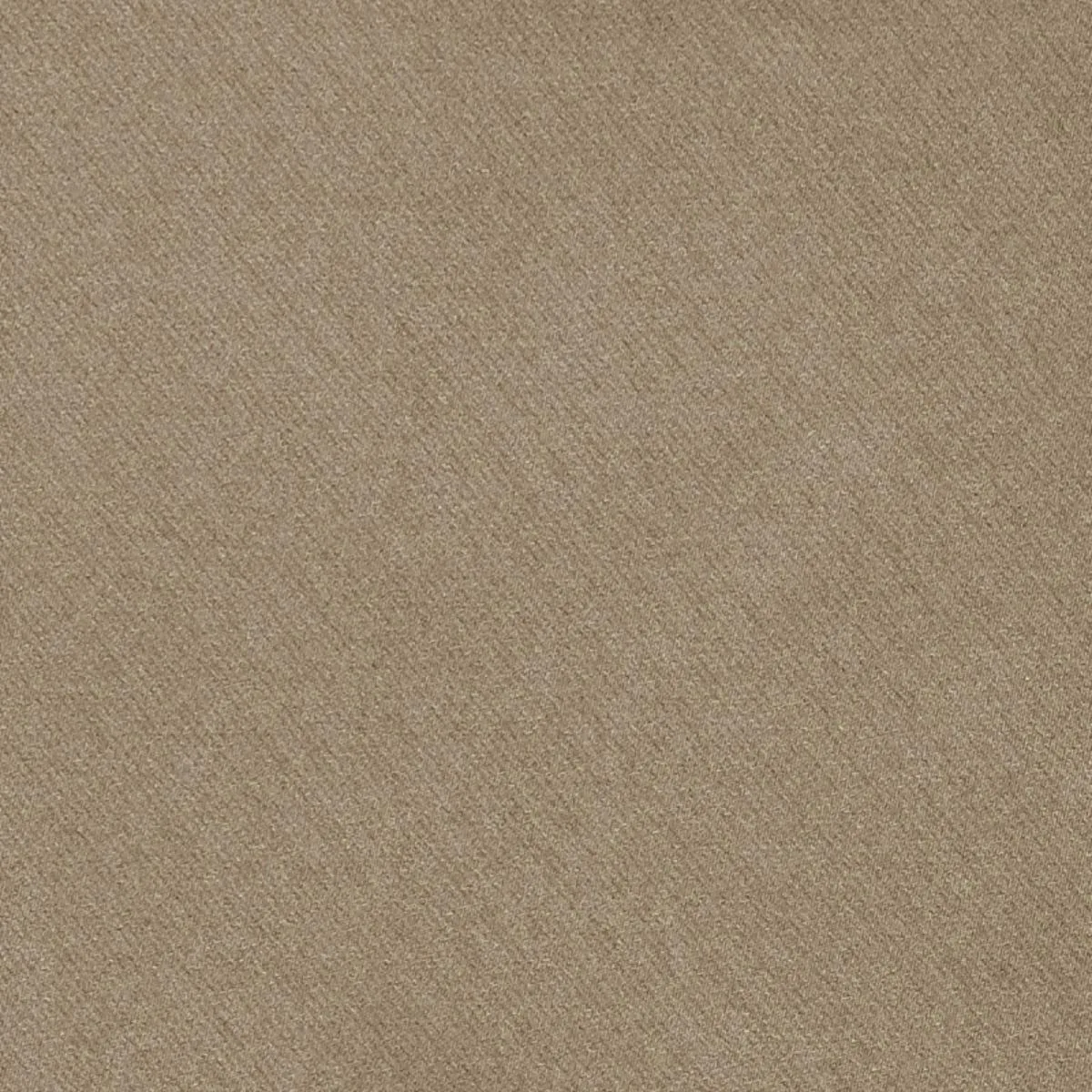 Schumacher 69578 Blake Polished Cotton Prairie fabric swatch