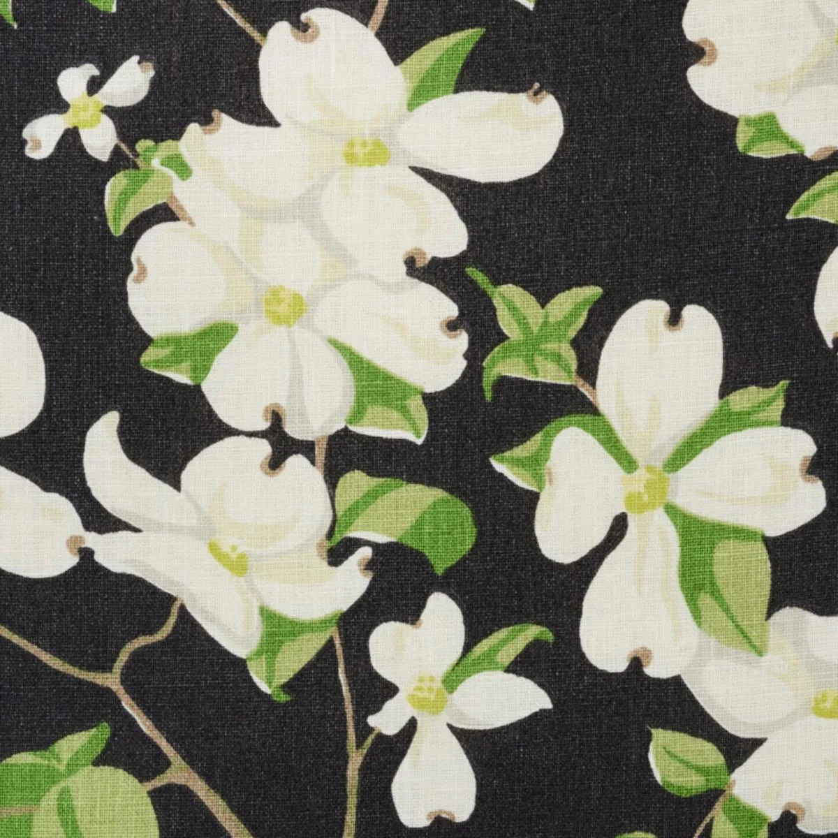 Schumacher 177412 Blooming Branch Black fabric swatch