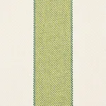 Schumacher 79055 Blumont Stripe Indoor/Outdoor Green fabric swatch