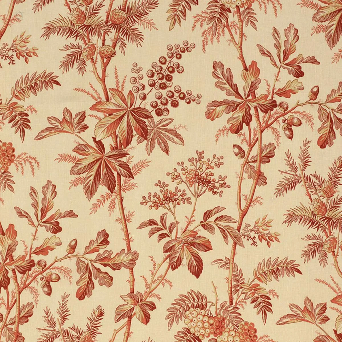 Schumacher 174112 Brantwood Vine Currant fabric swatch
