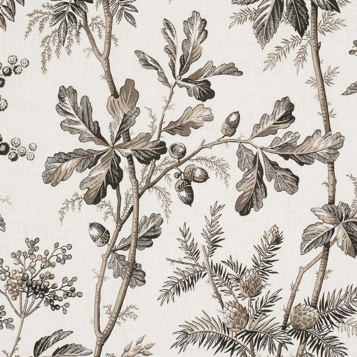 Schumacher 174115 Brantwood Vine Graphite fabric swatch