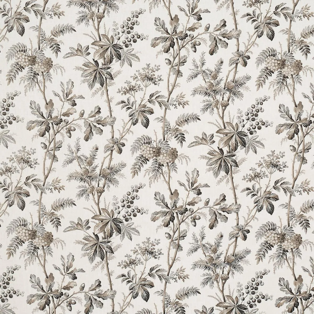 Schumacher 174115 Brantwood Vine Graphite fabric swatch