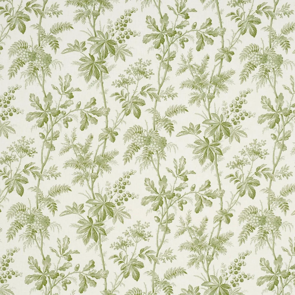 Schumacher 174114 Brantwood Vine Leaf fabric swatch