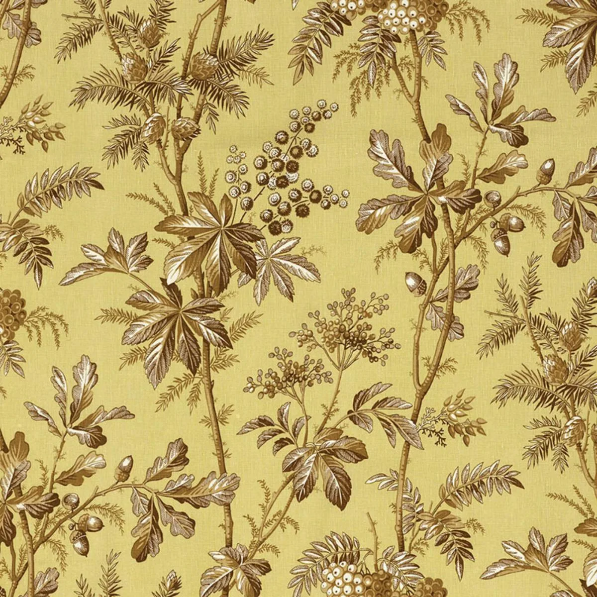 Schumacher 174110 Brantwood Vine Pear fabric swatch